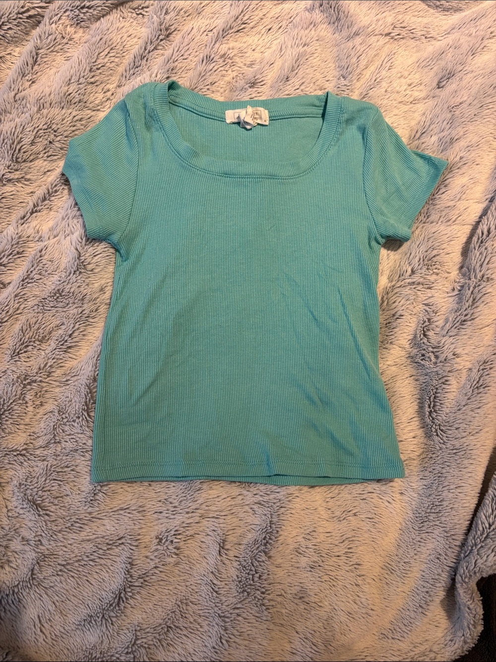 Fitted Cropped Ribbed Top in Aqua